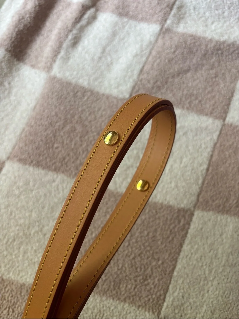 Louis Vuitton Loop bag strap